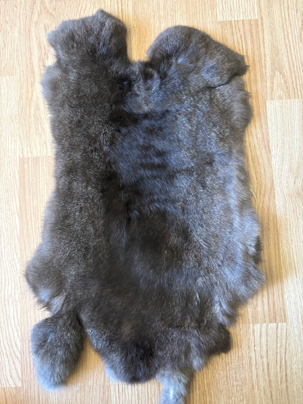 B0011 rabbit pelt